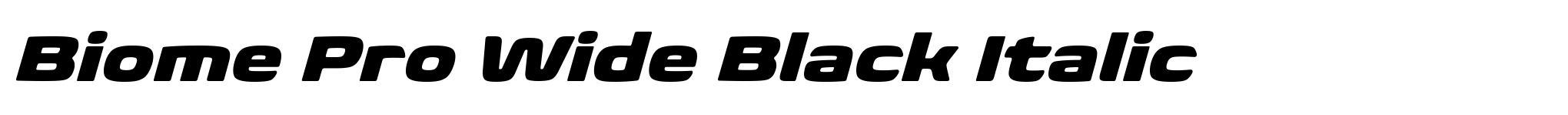 Biome Pro Wide Black Italic image